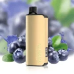 4526380639_large.webp – Vape Wholesaler Egypt | Wholesale vape Egypt