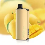 4526427557_large.webp – Vape Wholesaler Egypt | Wholesale vape Egypt