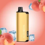 PeachIce_726001f2-a2d1-40e1-a639-87bde7971148_large.webp – Vape Wholesaler Egypt | Wholesale vape Egypt