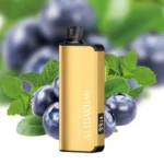 alibarbar-ingot-9000-puffs-blueberry-mint_large.webp – Vape Wholesaler Egypt | Wholesale vape Egypt