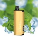 alibarbar-ingot-9000-puffs-cool-mint_large.webp – Vape Wholesaler Egypt | Wholesale vape Egypt